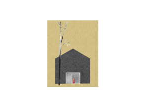 fragment